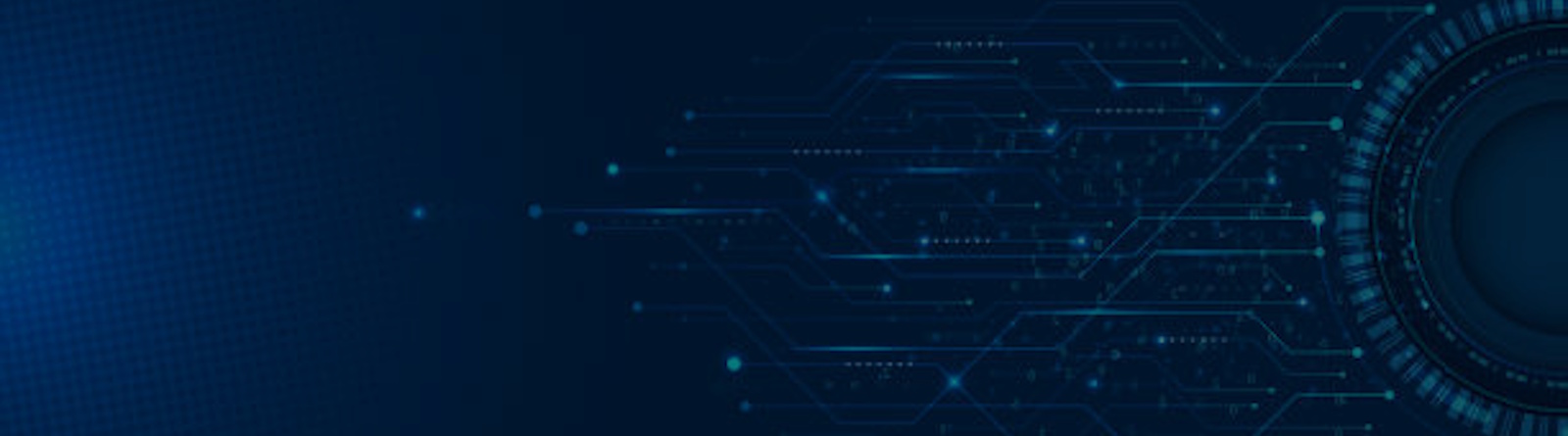 Technology Audit & Analysis-banner
